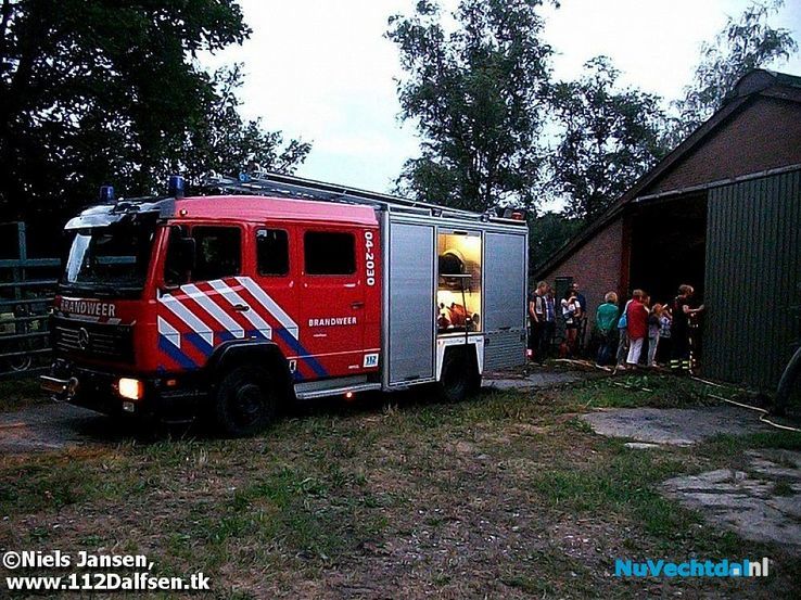 Brandweer redt twee pinken uit mestkelder - Foto: Niels Jansen