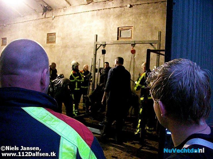 Brandweer redt twee pinken uit mestkelder - Foto: Niels Jansen