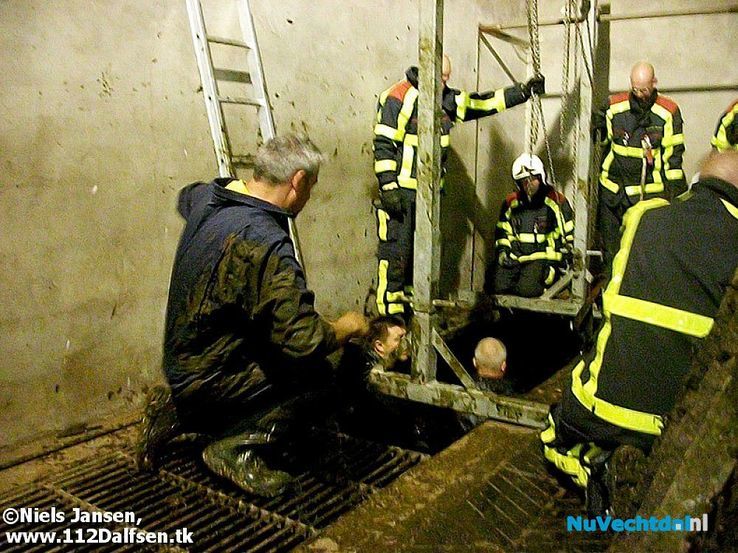 Brandweer redt twee pinken uit mestkelder - Foto: Niels Jansen