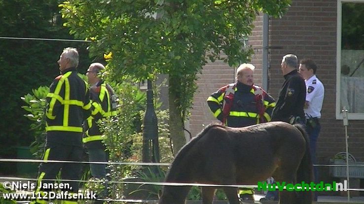 Schoorsteenbrand Middeldijk Dalfsen blijkt mee te vallen - Foto: Niels Jansen