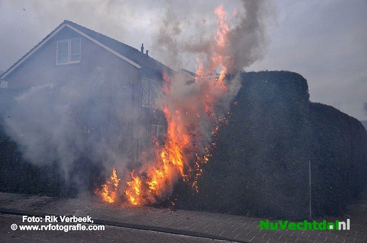 Heg in brand door vuurwerk Herikstraat te Ommen - Foto: Rik Verbeek