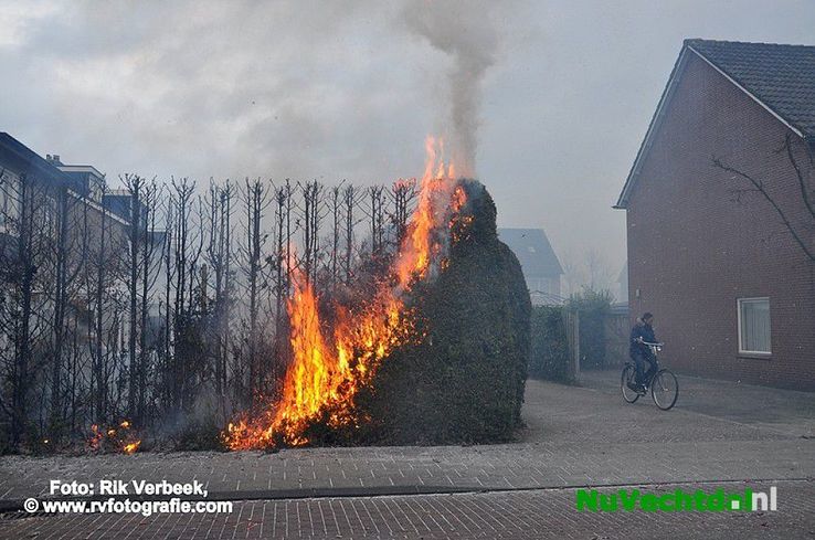 Heg in brand door vuurwerk Herikstraat te Ommen - Foto: Rik Verbeek