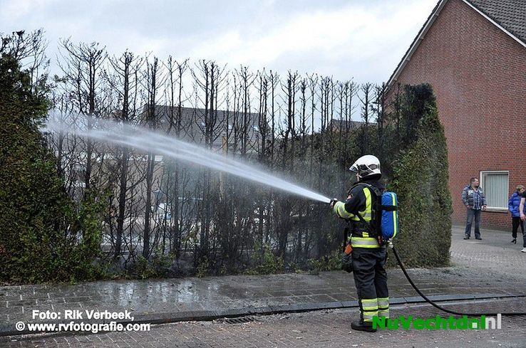 Heg in brand door vuurwerk Herikstraat te Ommen - Foto: Rik Verbeek