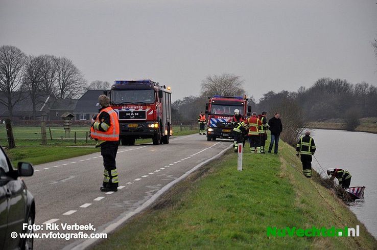 Vijf jonge reeën te water aan het Ommerkanaal te Ommen - Foto: Rik Verbeek
