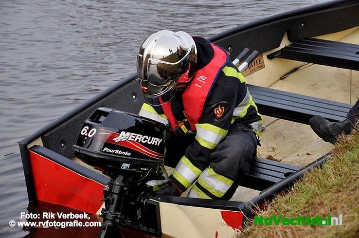 Vijf jonge reeën te water aan het Ommerkanaal te Ommen - Foto: Rik Verbeek