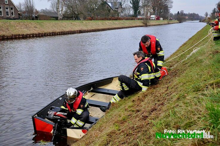 Vijf jonge reeën te water aan het Ommerkanaal te Ommen - Foto: Rik Verbeek