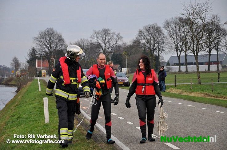 Vijf jonge reeën te water aan het Ommerkanaal te Ommen - Foto: Rik Verbeek