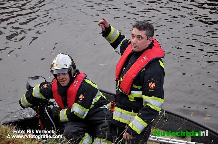 Vijf jonge reeën te water aan het Ommerkanaal te Ommen - Foto: Rik Verbeek