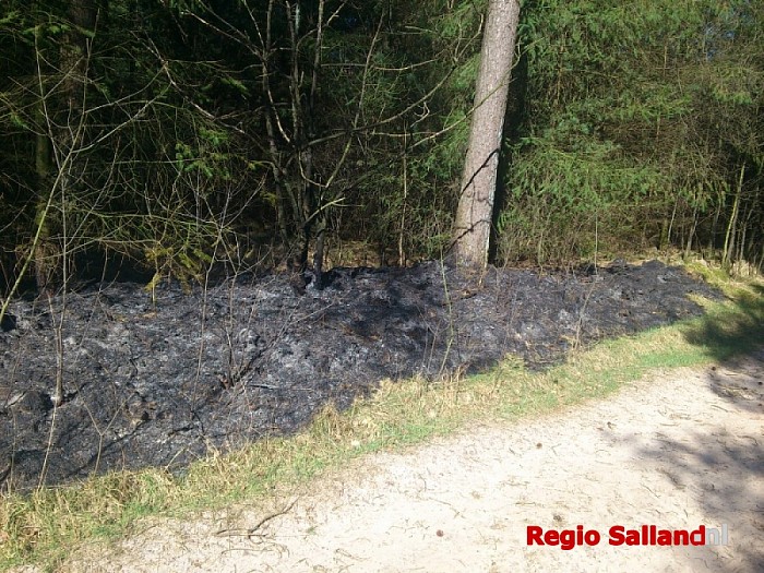 Bosbrand aan de Bosrandweg in Dalfsen - Foto: Robert Bril
