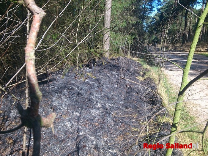 Bosbrand aan de Bosrandweg in Dalfsen - Foto: Robert Bril