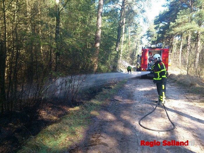 Bosbrand aan de Bosrandweg in Dalfsen - Foto: Robert Bril