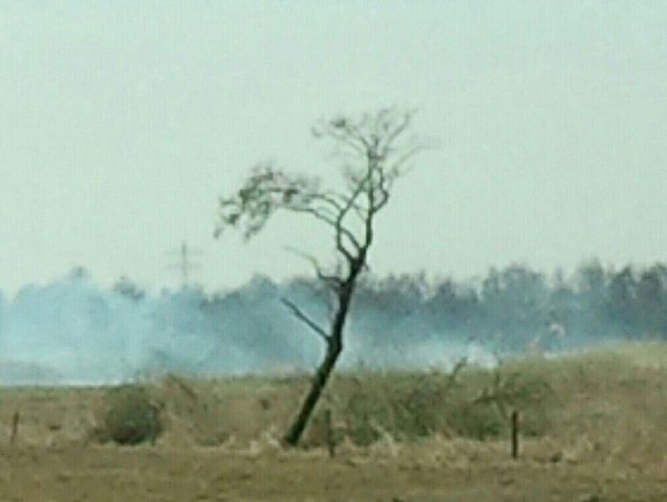 Brandweer Dalfsen naar Staphorst voor veenbrand - Foto: Regio Meppel