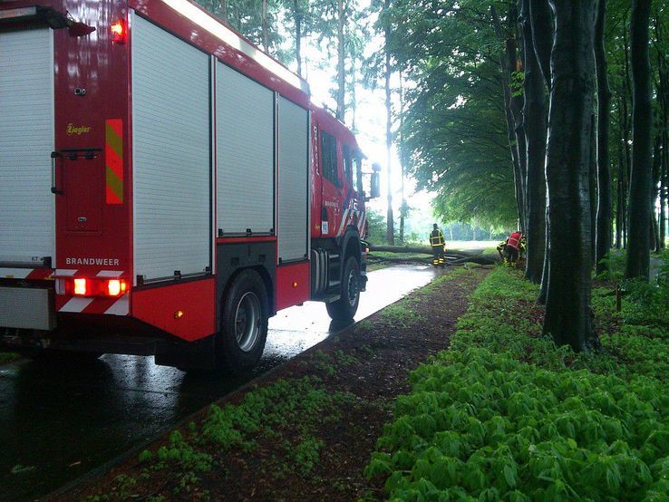 Stormschade Dalmsholterweg, brandweer rukt uit - Foto: Robert Bril