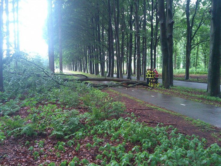 Stormschade Dalmsholterweg, brandweer rukt uit - Foto: Robert Bril