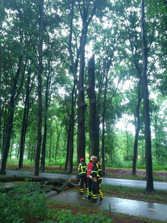 Stormschade Dalmsholterweg, brandweer rukt uit - Foto: Robert Bril