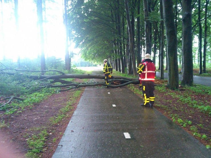Stormschade Dalmsholterweg, brandweer rukt uit - Foto: Robert Bril