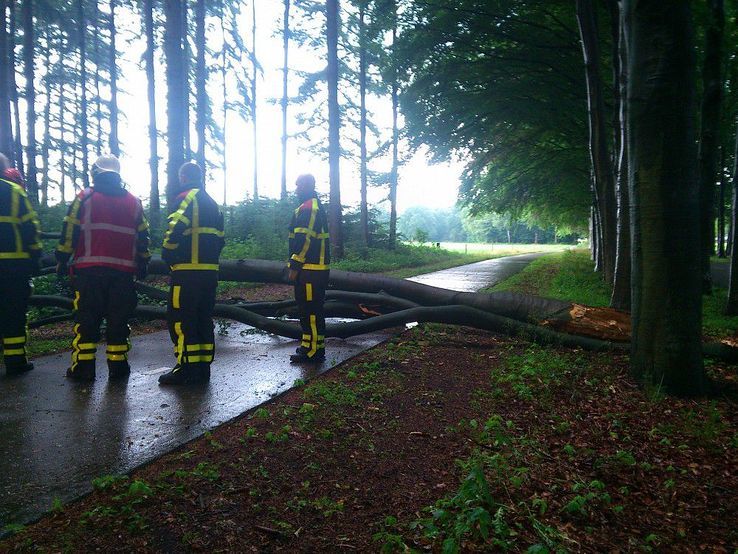 Stormschade Dalmsholterweg, brandweer rukt uit - Foto: Robert Bril