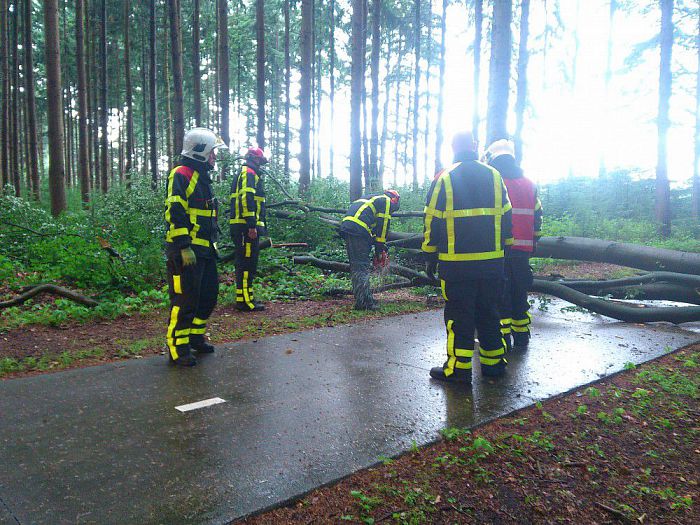 Stormschade Dalmsholterweg, brandweer rukt uit - Foto: Robert Bril
