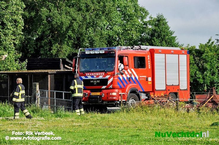 Brandweer rukt uit voor pony te water in Ommen - Foto: Rik Verbeek