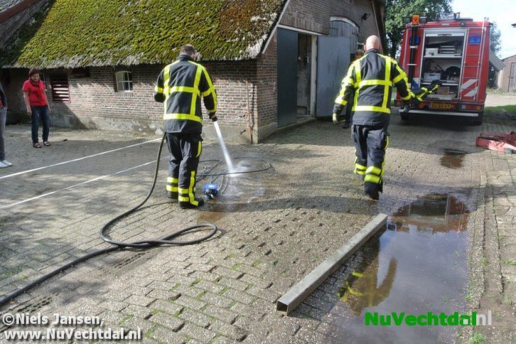 Brandweer bevrijdt koe uit benarde positie Vossersteeg - Foto: Niels Jansen