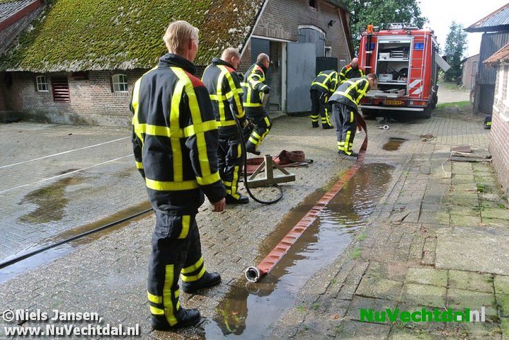 Brandweer bevrijdt koe uit benarde positie Vossersteeg - Foto: Niels Jansen