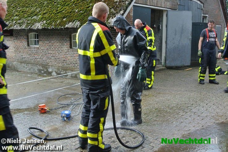 Brandweer bevrijdt koe uit benarde positie Vossersteeg - Foto: Niels Jansen