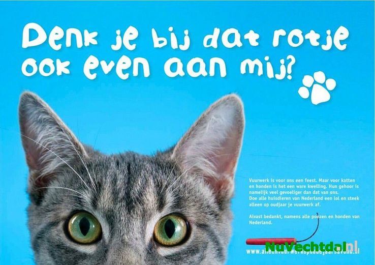 Handen af van hulpverleners! DENK NA! - Foto: Quest