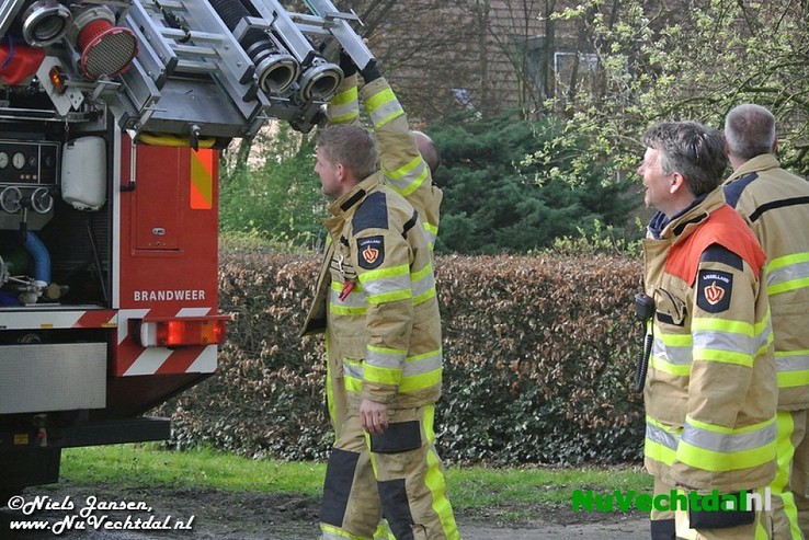 Klassieker voor brandweer Dalfsen: Kat in de boom - Foto: Niels Jansen