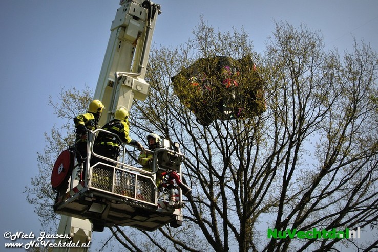 VIDEO: Vlieger in boom langs N348, inzet brandweer - Foto: Niels Jansen