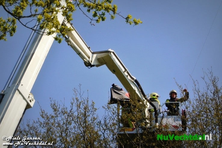 VIDEO: Vlieger in boom langs N348, inzet brandweer - Foto: Niels Jansen