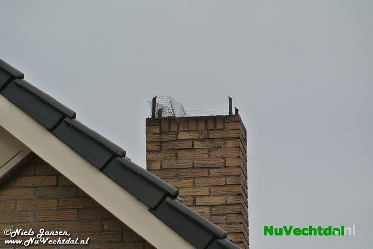 [Video] Felle schoorsteenbrand Koelmansstraat Hoonhorst - Foto: Niels Jansen