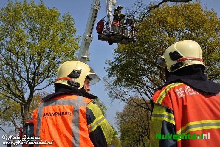 VIDEO: Vlieger in boom langs N348, inzet brandweer - Foto: Niels Jansen