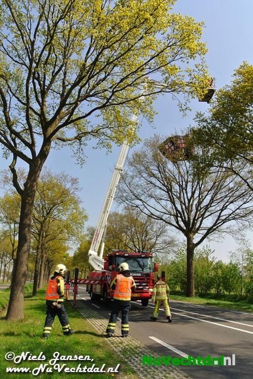 VIDEO: Vlieger in boom langs N348, inzet brandweer - Foto: Niels Jansen