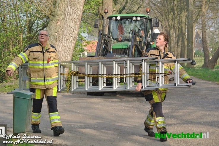 Klassieker voor brandweer Dalfsen: Kat in de boom - Foto: Niels Jansen