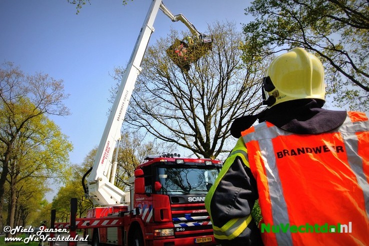 VIDEO: Vlieger in boom langs N348, inzet brandweer - Foto: Niels Jansen