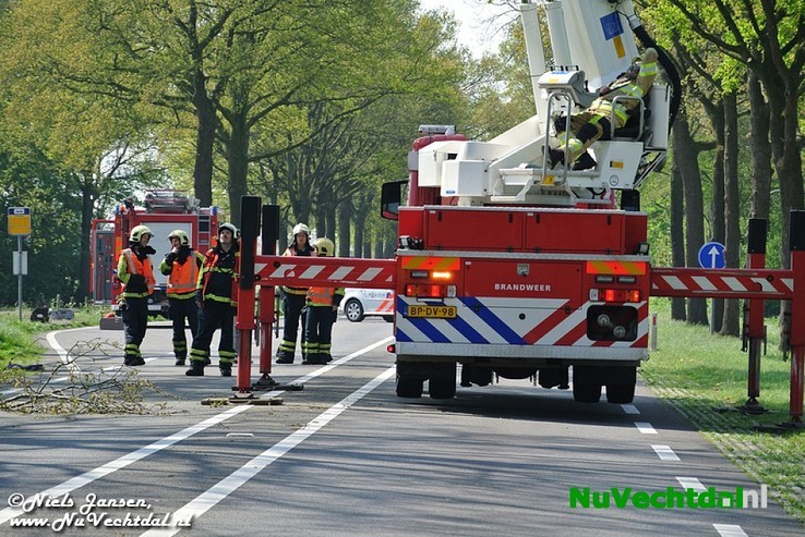 VIDEO: Vlieger in boom langs N348, inzet brandweer - Foto: Niels Jansen
