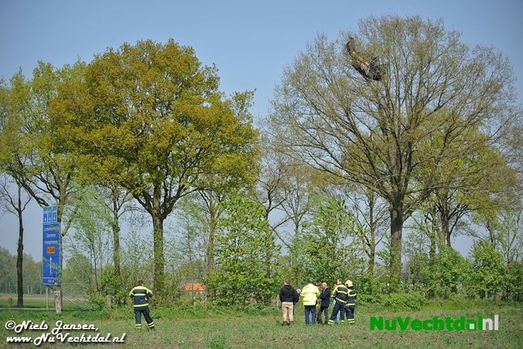 VIDEO: Vlieger in boom langs N348, inzet brandweer - Foto: Niels Jansen