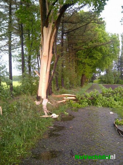 Blikseminslag Hagenweg Dalfsen vernietigd boom - Foto: Politie Dalfsen/Ommen