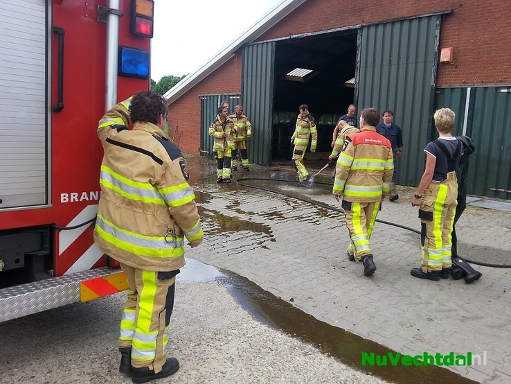 Brandweer redt kalf uit mestkelder Langsweg Dalfsen - Foto: Niels Jansen