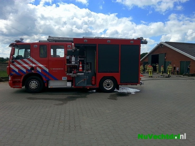 Brandweer redt kalf uit mestkelder Langsweg Dalfsen - Foto: Niels Jansen
