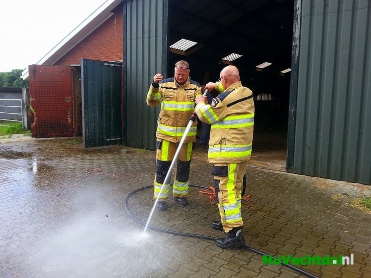 Brandweer redt kalf uit mestkelder Langsweg Dalfsen - Foto: Niels Jansen