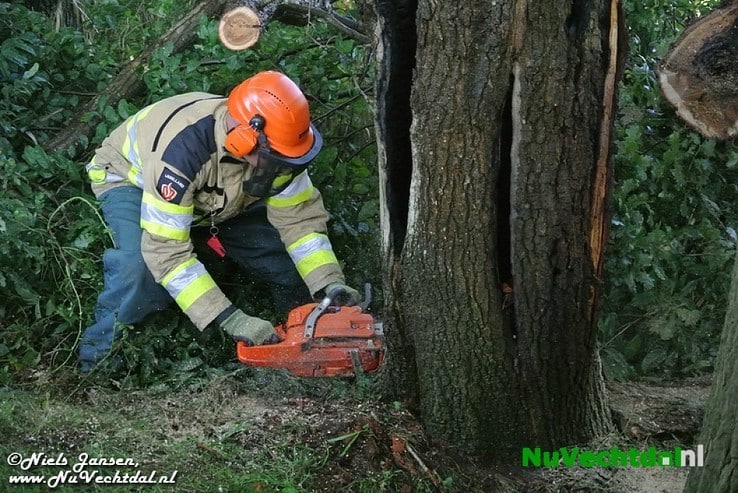 Video: Boom in brand op de Stokte te Dalfsen - Foto: Niels Jansen