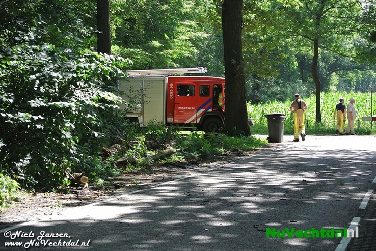 Stormschade op zomerse dag in Dalfsen - Foto: Niels Jansen