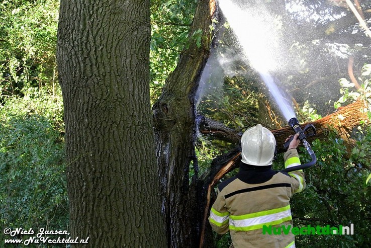 Video: Boom in brand op de Stokte te Dalfsen - Foto: Niels Jansen