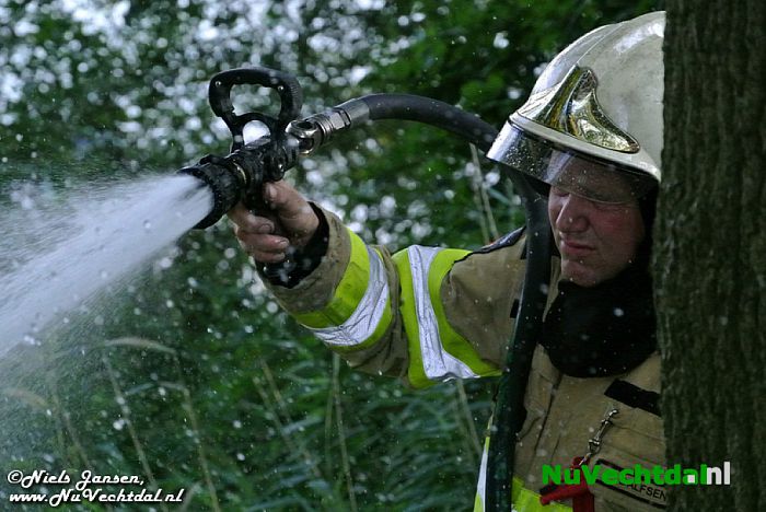 Video: Boom in brand op de Stokte te Dalfsen - Foto: Niels Jansen