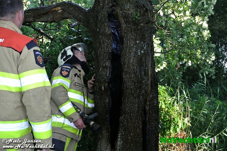 Video: Boom in brand op de Stokte te Dalfsen - Foto: Niels Jansen