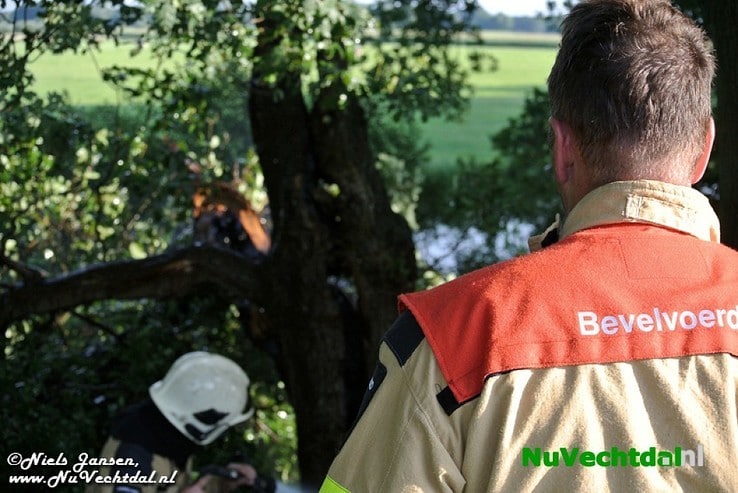 Video: Boom in brand op de Stokte te Dalfsen - Foto: Niels Jansen