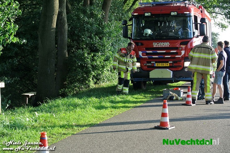 Video: Boom in brand op de Stokte te Dalfsen - Foto: Niels Jansen