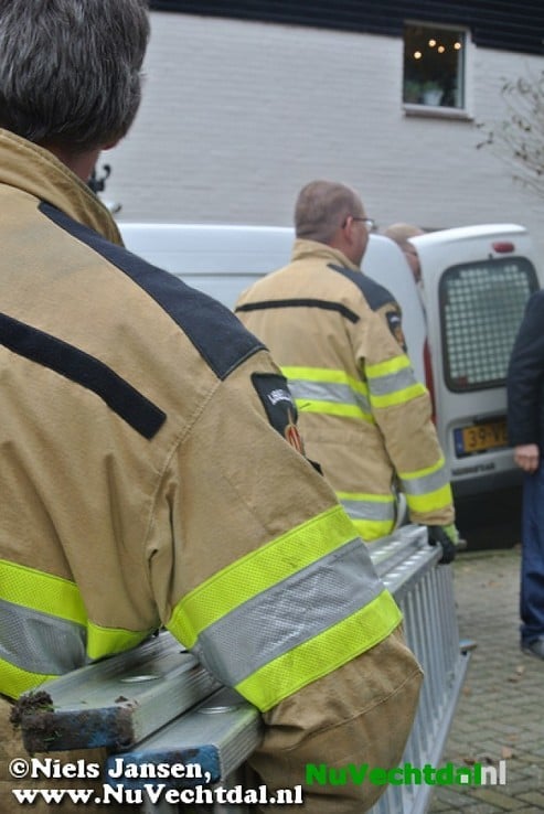 Brandweer Dalfsen haalt poes uit boom - Foto: Niels Jansen