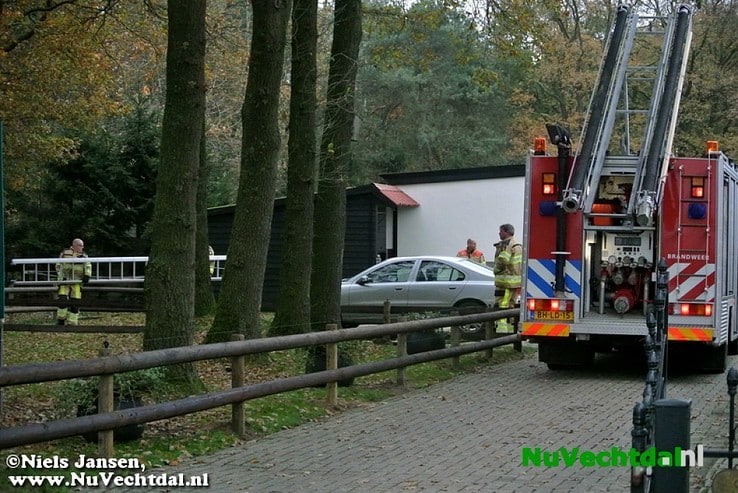 Brandweer Dalfsen haalt poes uit boom - Foto: Niels Jansen